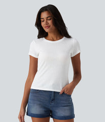 Semi Sheer Ribbed Knit Round Neck Short Sleeve Casual T-Shirt