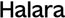thehalarahub.it.com