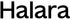 thehalarahub.it.com